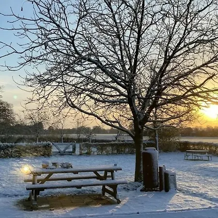 Natuurhuisje De Kleine Varenhorst Campsite