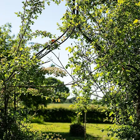 Natuurhuisje De Kleine Varenhorst Kamp alanı Breedenbroek