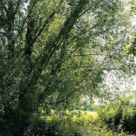 Natuurhuisje De Kleine Varenhorst * Breedenbroek