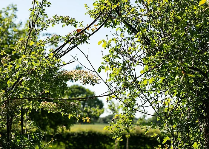 Natuurhuisje De Kleine Varenhorst Camping Breedenbroek