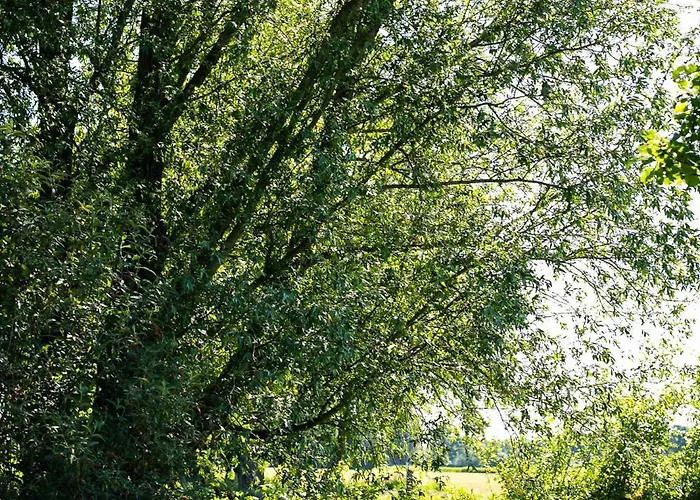 Natuurhuisje De Kleine Varenhorst * Breedenbroek