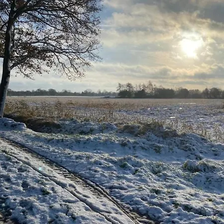 Natuurhuisje De Kleine Varenhorst