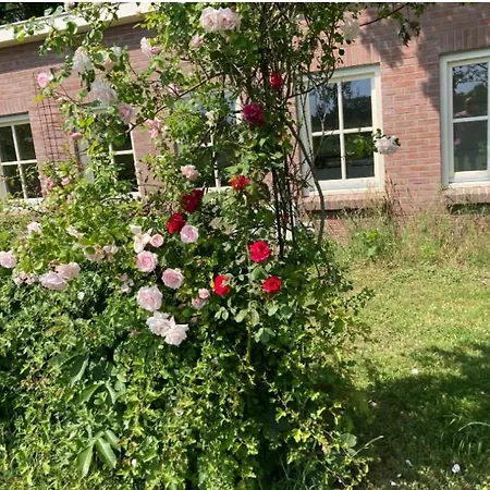 Kemping Natuurhuisje De Kleine Varenhorst Breedenbroek