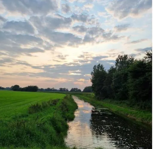 Natuurhuisje De Kleine Varenhorst Kemping Breedenbroek