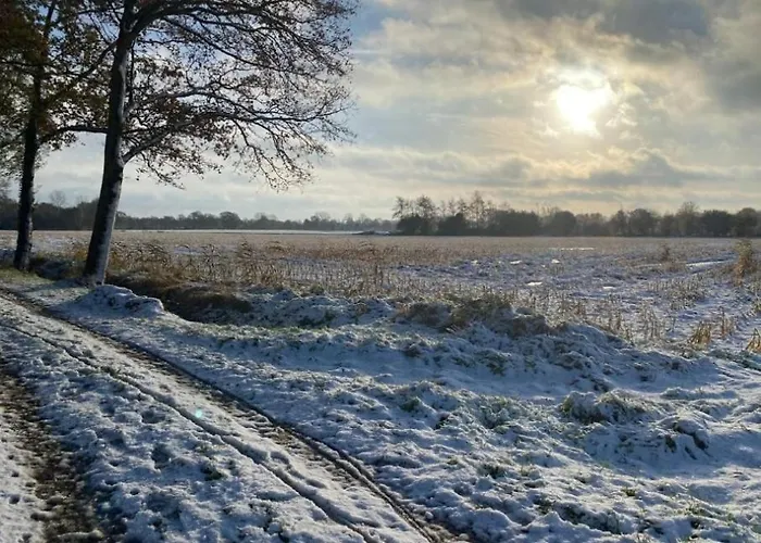 Natuurhuisje De Kleine Varenhorst