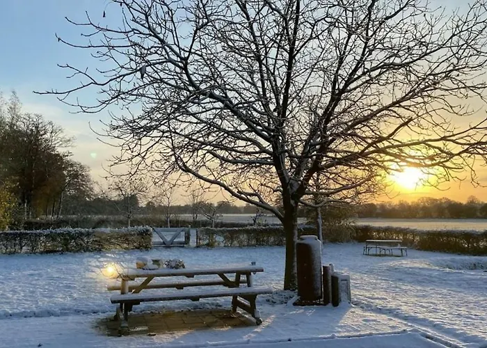 Natuurhuisje De Kleine Varenhorst Kemping