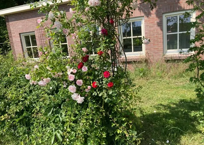 Kemping Natuurhuisje De Kleine Varenhorst Breedenbroek